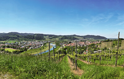 Gesundes Kinzigtal Landschaft