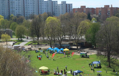 Gesundheitstag an einem sonnigen Tag in einem Park mit Informationsständen, Mitmachangeboten und Besucher:innen auf einer großen Grünfläche, umgeben von Hochhäusern.