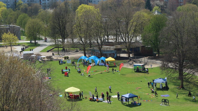 Gesundheitstag an einem sonnigen Tag in einem Park mit Informationsständen, Mitmachangeboten und Besucher:innen auf einer großen Grünfläche, umgeben von Hochhäusern.